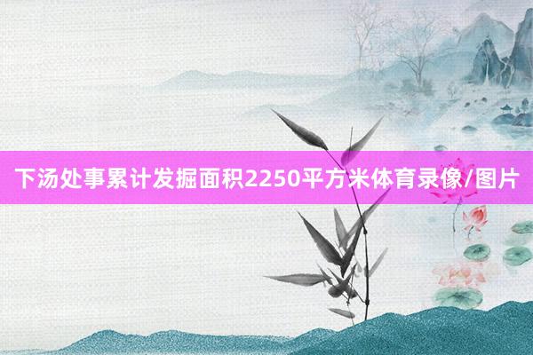 下汤处事累计发掘面积2250平方米体育录像/图片